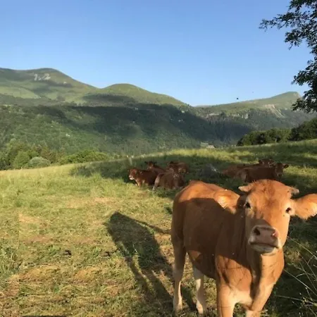 דירה Beau T2 Hyper Centre Avec Wifi - Fr-1-608-126 *